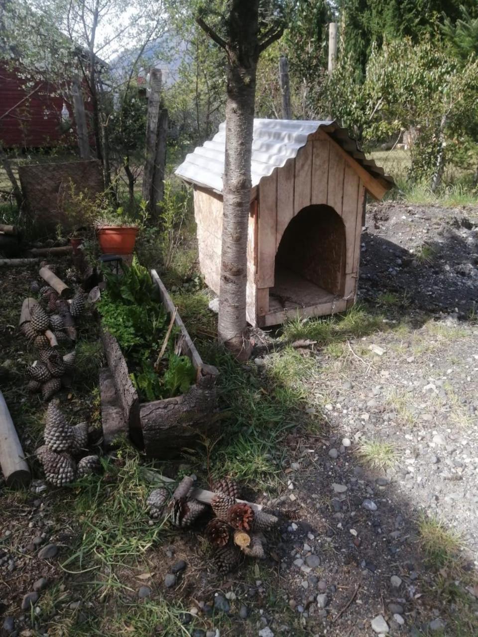 Cabana May Pao, Para 3 En Melipeuco Cerca Del Parque Nacional Conguillio Exterior foto