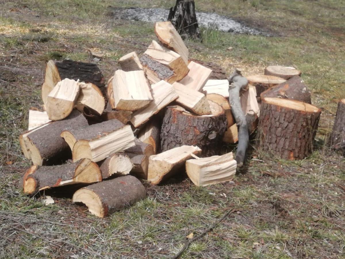 Cabana May Pao, Para 3 En Melipeuco Cerca Del Parque Nacional Conguillio Exterior foto