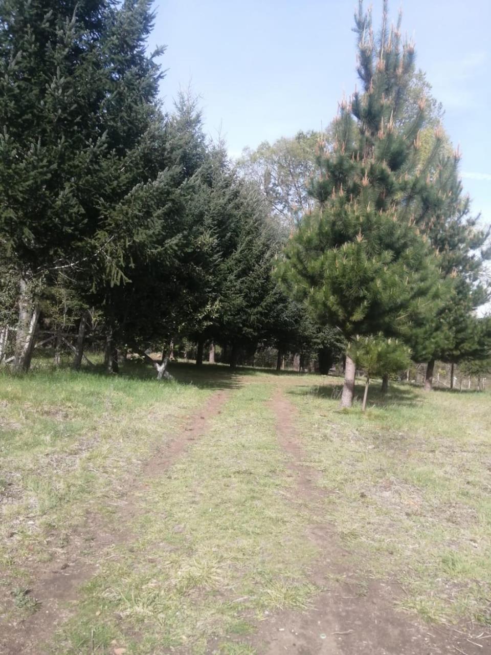 Cabana May Pao, Para 3 En Melipeuco Cerca Del Parque Nacional Conguillio Exterior foto