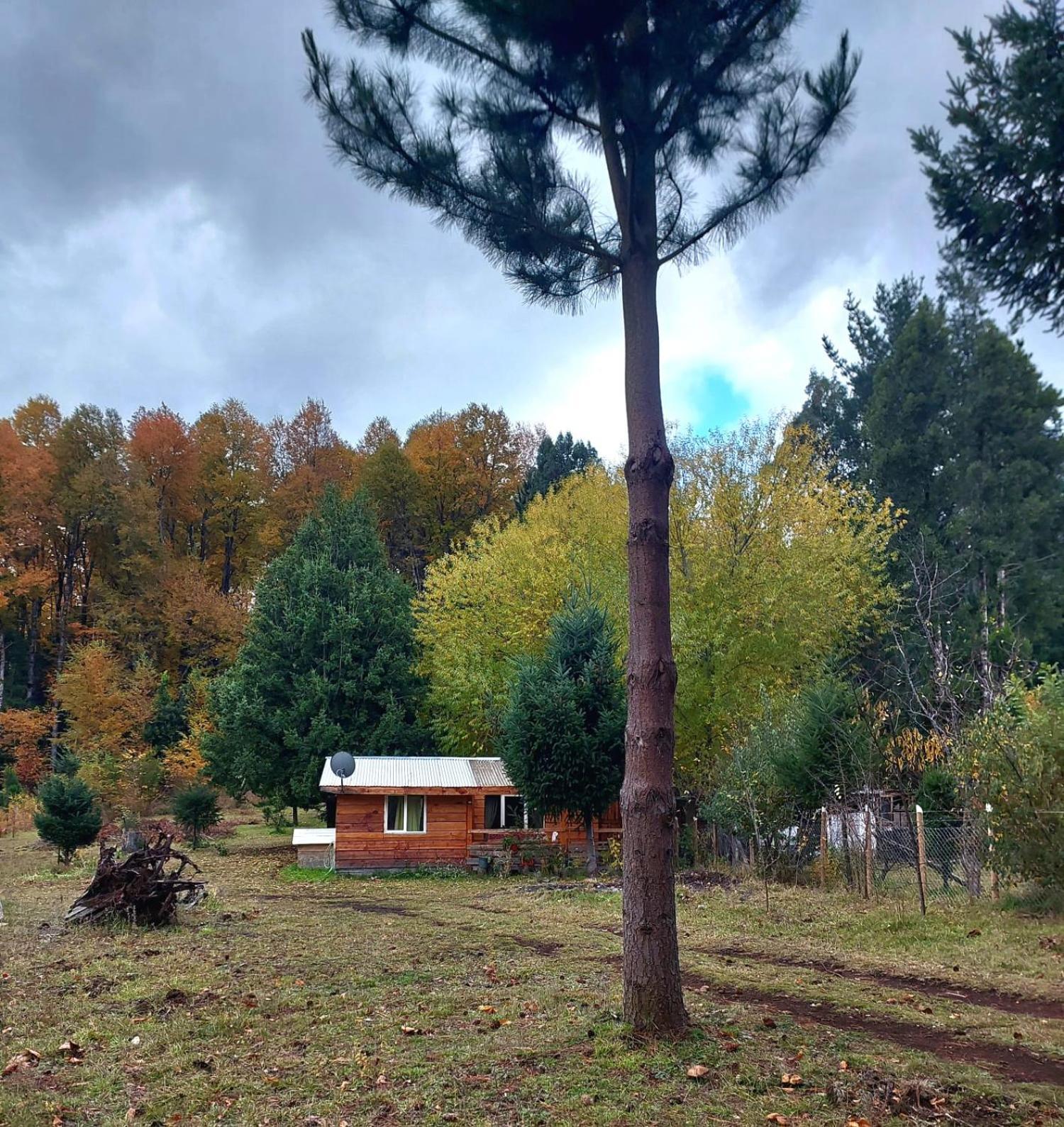 Cabana May Pao, Para 3 En Melipeuco Cerca Del Parque Nacional Conguillio Exterior foto